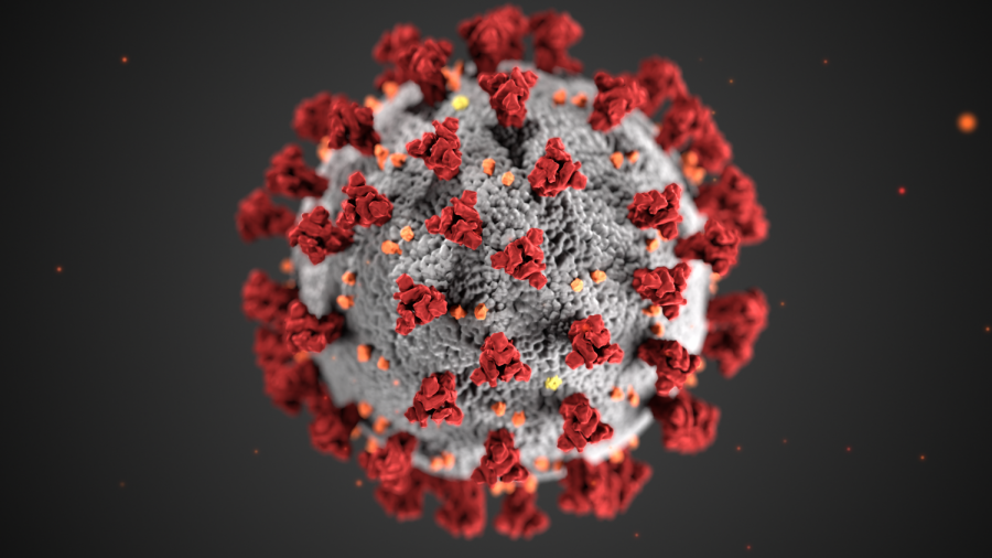This is an illustration provided by the Centers for Disease Control and Prevention (CDC) depicting an ultrastructural morphology exhibited by coronaviruses. COVID-19 was deemed a pandemic as of March 2020 by the World Health Organization (WHO) and has kept the majority of BVH students off campus since then.