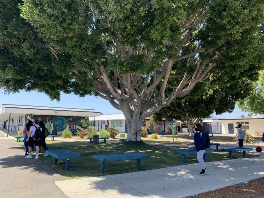 Bonita Vista High students mingle in the quad after the fifth period bell rings, singling the end of class. Only a limited number of students are on campus for classes.