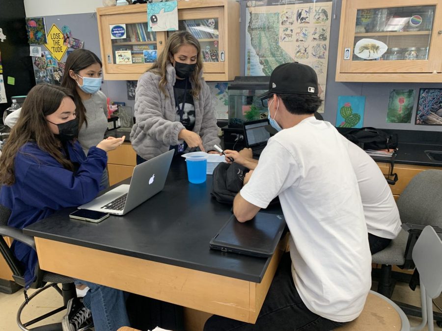 Students in Earth Science and Environmental Biology teacher Adrienne Marriotts fifth period Earth Science class work on a lab. They are split into groups and assigned to a lab station. Marriott visited each station to guide her students.