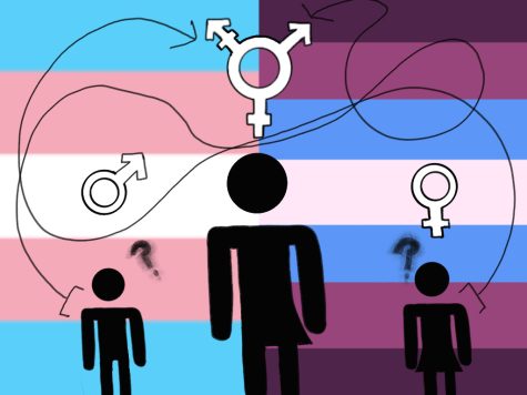 In the chaos and confusion that transgender and non-conforming people, support can be provided by surrounding individuals.