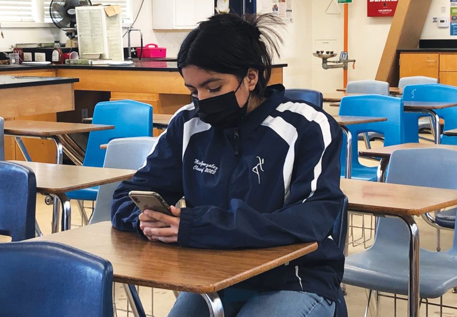 Senior Mia Gonzalez scrolls through TikTok during lunch. Gonzalez is often on BookTok to gather lists of new books to read in her free time. 
