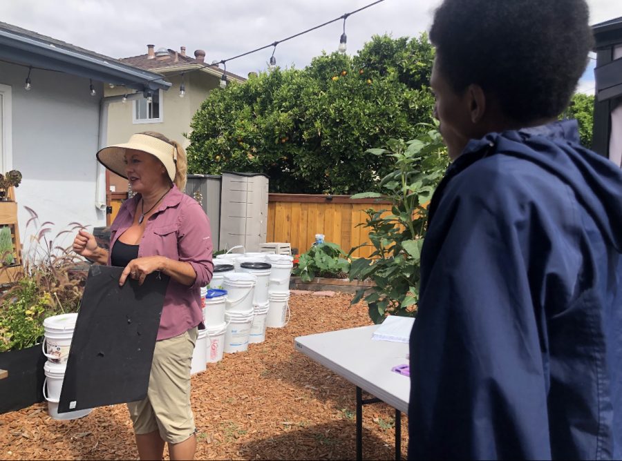 Senior Aaron Tewolde attends South Bay Sustainable Communities Community Workshop on Worm Compost. Tewolde attended the event to contribute to the 20 hour service requirement for Advanced Placement (AP) for WE Service.