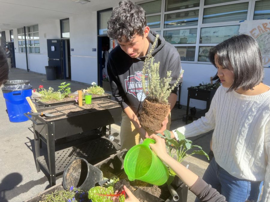 Junior+Daniel+Robitaille+and+Cherise+Magtoto+take+a+break+during+their+International+Baccalaureate+Environmental+Systems+and+Societies+class+to+set+up+their+mobile+planter.+Robitaille+is+planting+a+California+Sage+Bush.