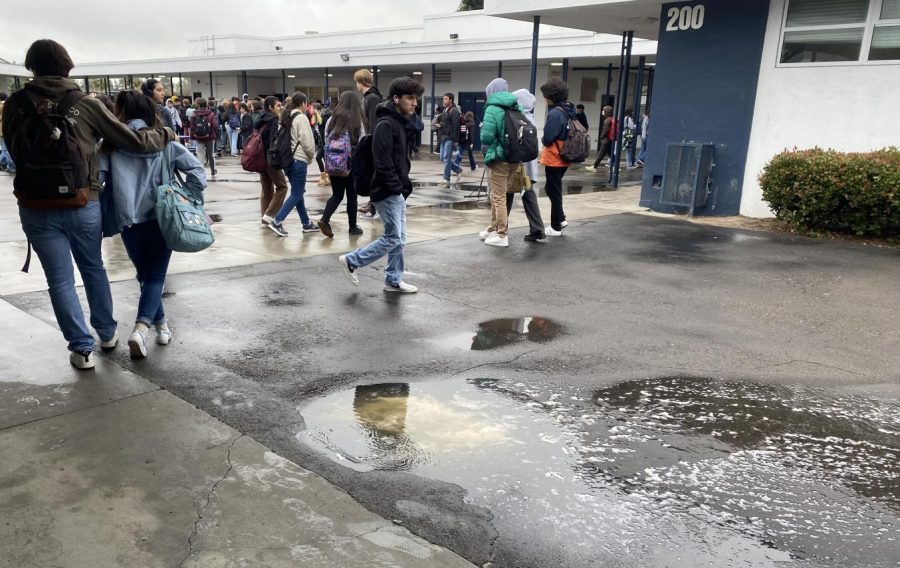 On Mar. 15, sewage began to overfill the sewage drains outside the 300s girls restroom. The excessive rain caused this sewage to overflow and spread throughout the Bonita Vista High campus.