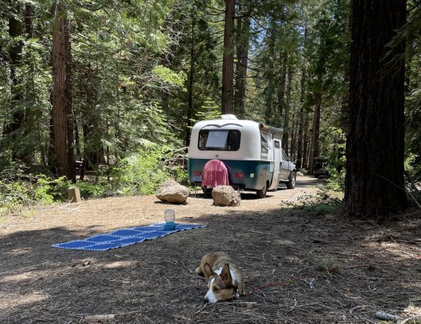 Mahzads van, Frida, parked at a campsite located in Lake Tahoe