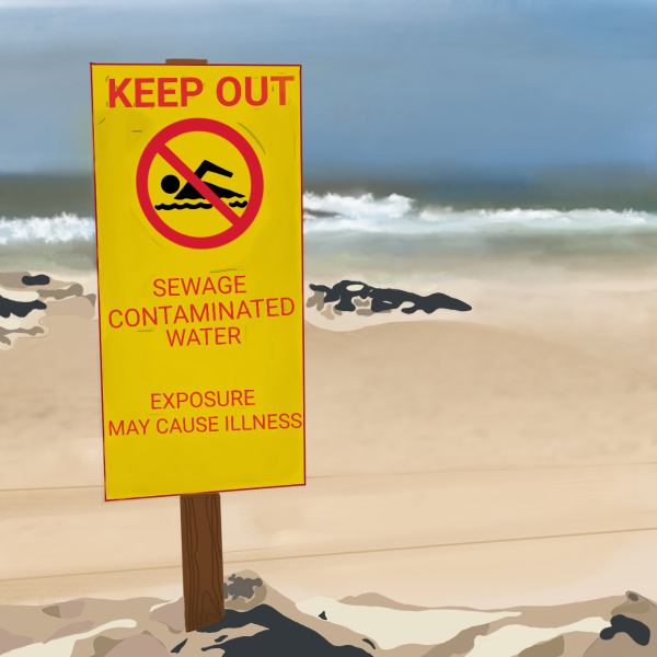Warning signs are prominently becoming displayed at beaches that have been contaminated. As sewage water escapes to the ocean, people must be aware of the effects it can have if they were to enter the waters.