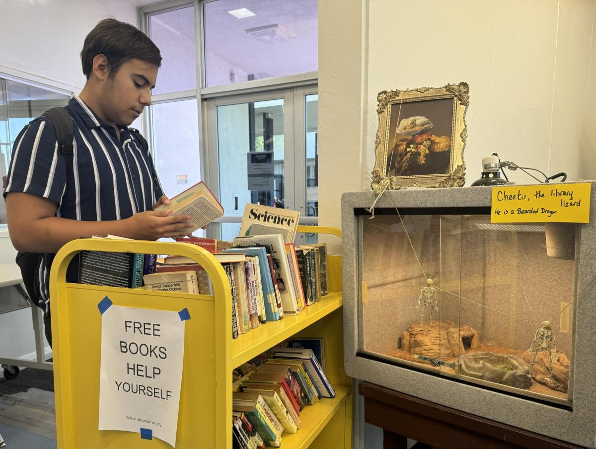 On Oct. 20, junior Daniel Patrick browses the various display of free books provided by the Bonita Vista High School (BVH) library. Another addition to the BVH library is Ms. Marriots pet bearded dragon, Cheeto which is seen at the entrance alongside the free books.
