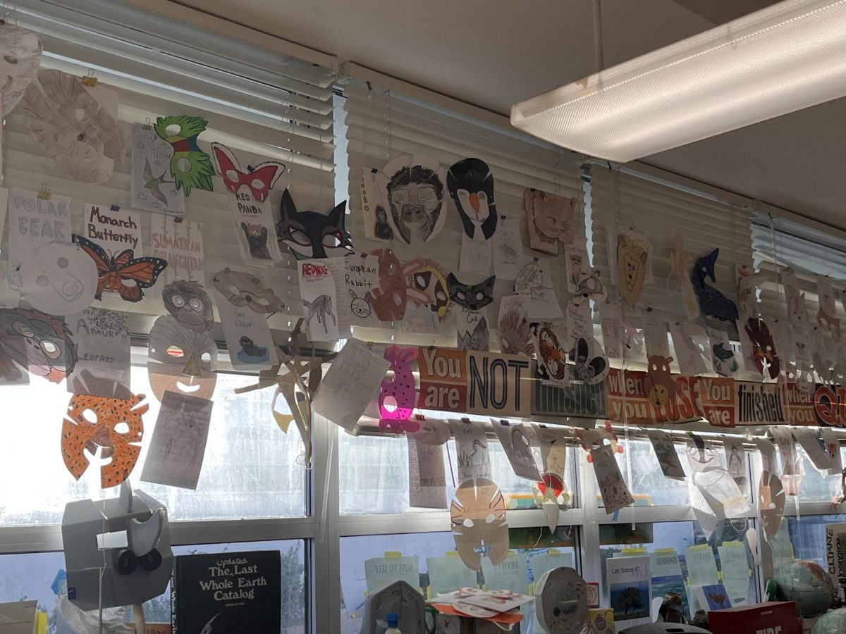 International Baccalaureate (IB) Environmental Systems and Societies, Advanced Placement and biology teacher Jennifer Ekstein displays student arts from various projects. A notable project revolves around creating masks based on endangered species.