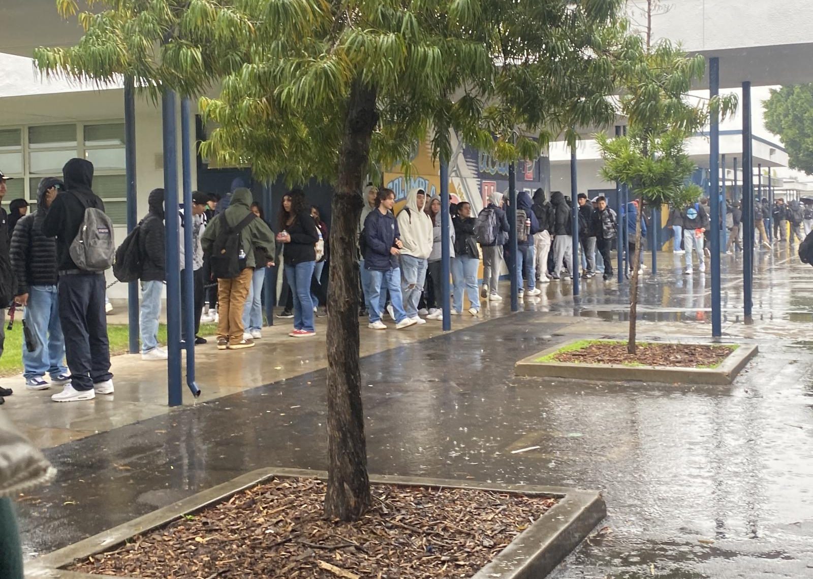 On Jan. 1, students near the quad and 200 building hide under the hallways as it provides cover from the pouring rain. In the recent week, multiple rainfall has been recorded causing flooding in San Diego and schools like Bonita Vista High (BVH).
