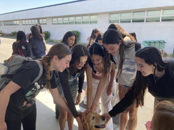 During lunch, sophomores Ella Roberts, Mackenzie Koeppen, Charissa Dela Cruz, Sydney Asman and Maya Delgado pet one of the five therapy dogs, Floyd. On April 11, the Bring Change to Mind club held a Love On a Leash session, which many students were greeted by therapy dogs in room 408.