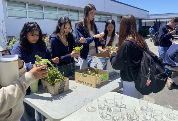 On April 23, BVH Green Team hosted a succulent station for Earth Week, the clubs celebration of Earth Day. Students stop by during lunch to replant succulents as a way of promoting reusing items to help the environment.